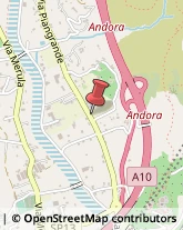 Aziende Agricole Andora,17051Savona