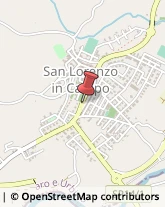 Frutta e Verdura - Dettaglio San Lorenzo in Campo,61047Pesaro e Urbino
