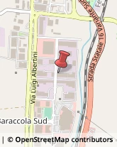 Consulenza Informatica Ancona,60131Ancona