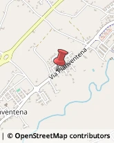 Alimentari San Giovanni in Marignano,47842Rimini