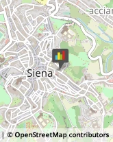 Maglieria - Produzione Siena,53100Siena