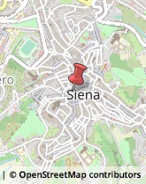 Accademie Siena,53100Siena