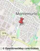 Poste Montemurlo,59013Prato