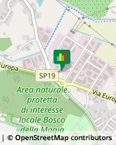 Locali, Birrerie e Pub,51039Pistoia