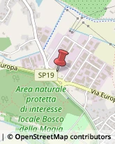 Amministrazioni Immobiliari Quarrata,51039Pistoia