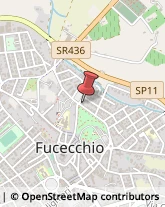 Amministrazioni Immobiliari Fucecchio,50054Firenze