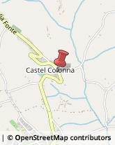 Bar e Caffetterie Castel Colonna,60010Ancona