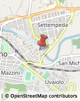Stands - Progettazione, Allestimento e Noleggio San Severino Marche,62027Macerata