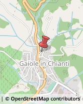 Gallerie d'Arte Gaiole in Chianti,53013Siena