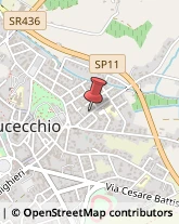 Avvocati Fucecchio,50054Firenze