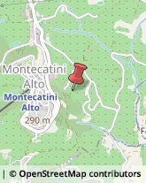 Agriturismi Montecatini Terme,51016Pistoia