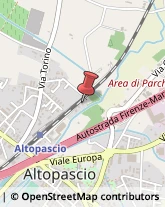 Trasporti Altopascio,55011Lucca