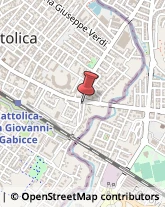 Autofficine e Centri Assistenza Cattolica,47841Rimini