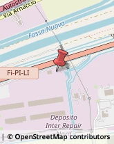 Trasporti Refrigerati Collesalvetti,57017Livorno