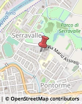 Agenzie di Vigilanza e Sorveglianza,50053Firenze