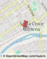 Piante e Fiori - Dettaglio Santa Croce sull'Arno,56029Pisa