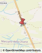 Edilizia - Attrezzature Marciano della Chiana,52047Arezzo