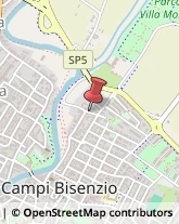 Uova Campi Bisenzio,50013Firenze