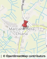 Imprese Edili Marciano della Chiana,52040Arezzo