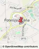 Pollame, Conigli e Selvaggina - Dettaglio Potenza Picena,62018Macerata