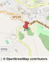 Asili Nido Fermo,63900Fermo