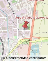 Ecografia e Radiologia - Studi,57121Livorno