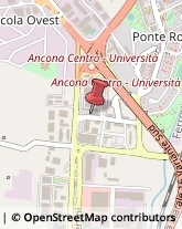 Studi - Geologia, Geotecnica e Topografia Ancona,60131Ancona