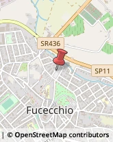 Articoli per Ortopedia Fucecchio,50054Firenze