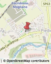 Nettezza Urbana - Servizio Macerata,62100Macerata