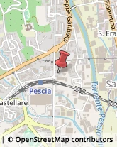 Pasticcerie - Dettaglio Pescia,51017Pistoia