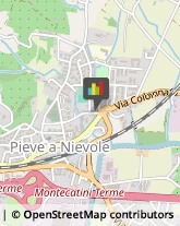 Notai Pieve a Nievole,51018Pistoia