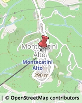Gelaterie Serravalle Pistoiese,51016Pistoia