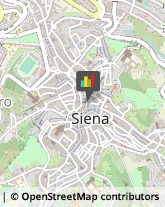 Sartorie Siena,53100Siena