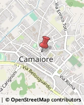 Farmacie Camaiore,55041Lucca