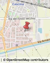 Succhi di Frutta e Verdura Cascina,56021Pisa