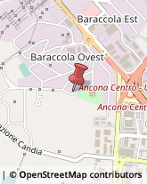 Calzature - Ingrosso e Produzione Ancona,60131Ancona