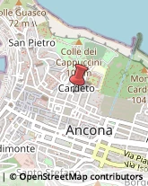 Veterinaria - Ambulatori e Laboratori Ancona,60121Ancona