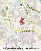 Demolizioni e Scavi Pescia,51017Pistoia