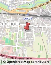 Vendite per Corrispondenza,55100Lucca