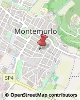 Imprese Edili Montemurlo,59013Prato