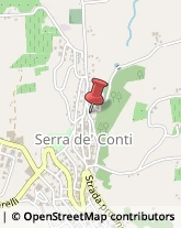 Aziende Sanitarie Locali (ASL) Serra De' Conti,60030Ancona