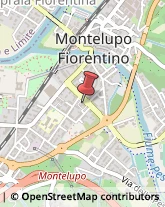 Comuni e Servizi Comunali Montelupo Fiorentino,50056Firenze
