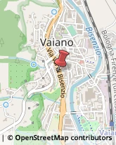 Consulenze Speciali Vaiano,59021Prato