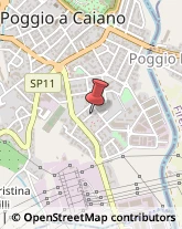 Autotrasporti Poggio a Caiano,59016Prato