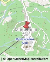 Pelletterie - Ingrosso e Produzione Montecatini Terme,51016Pistoia