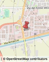 Cartotecnica,56021Pisa