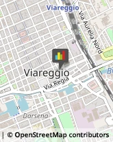 Pubblicità - Cartelli, Insegne e Targhe Viareggio,55049Lucca