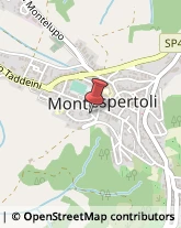 Laboratori Odontotecnici Montespertoli,50025Firenze