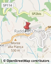 Agenzie Immobiliari Radda in Chianti,53017Siena