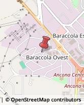 Consulenza Informatica,60131Ancona